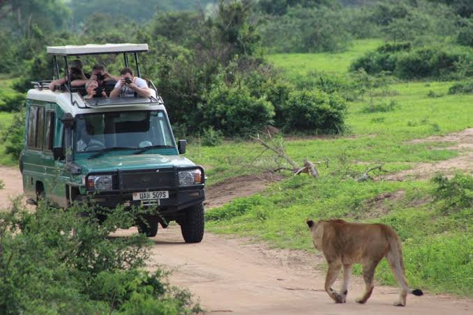 Activities in Murchison Falls National Park