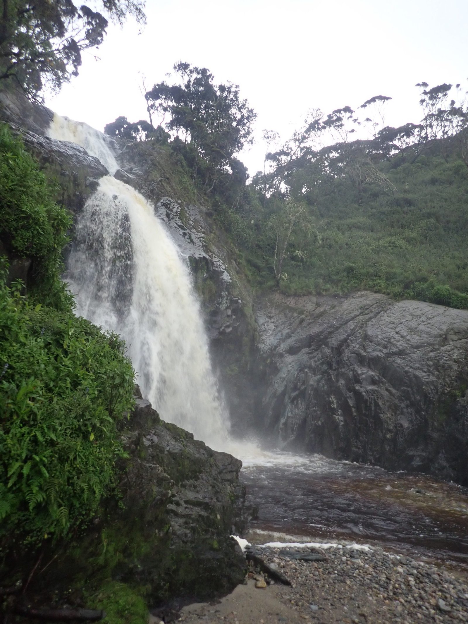 Nyamwamba