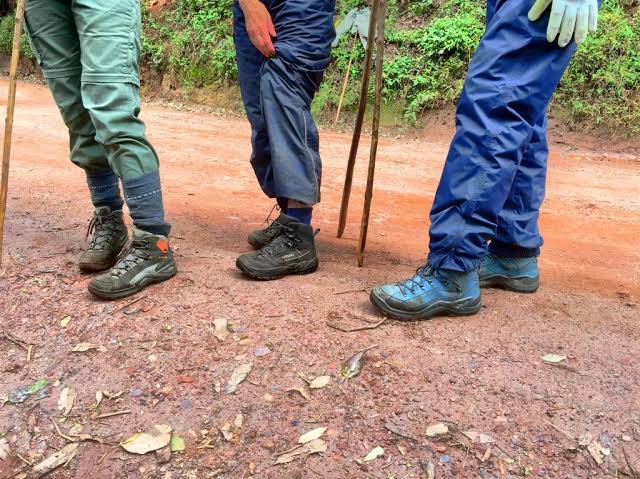 Gorilla Trekking Requirements