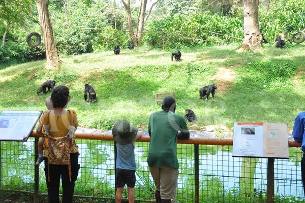 Kid-Friendly Sightseeing Attractions in Uganda