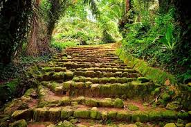 Kid-Friendly Sightseeing Attractions in Uganda