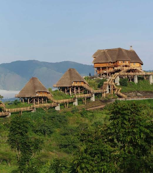 Kyaninga lodge