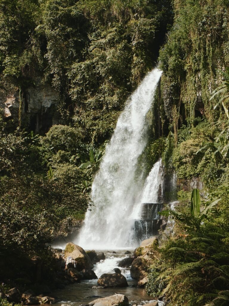 Mount Elgon Hiking Uganda