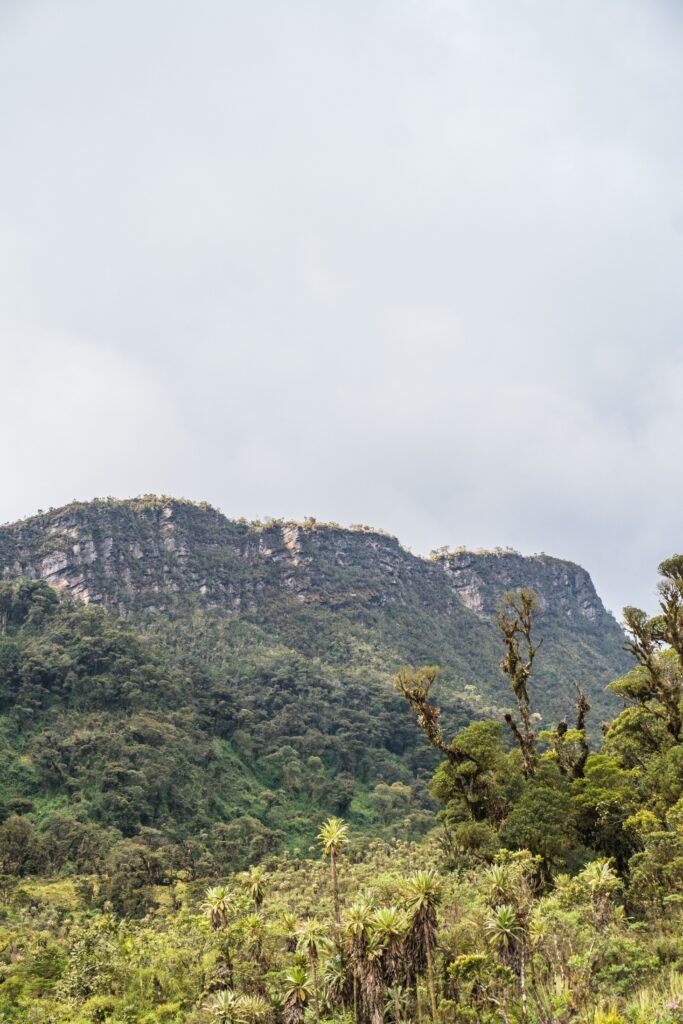 Mount Elgon Hiking Uganda