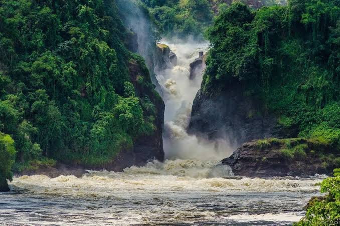 Ativities in murchison falls national park
