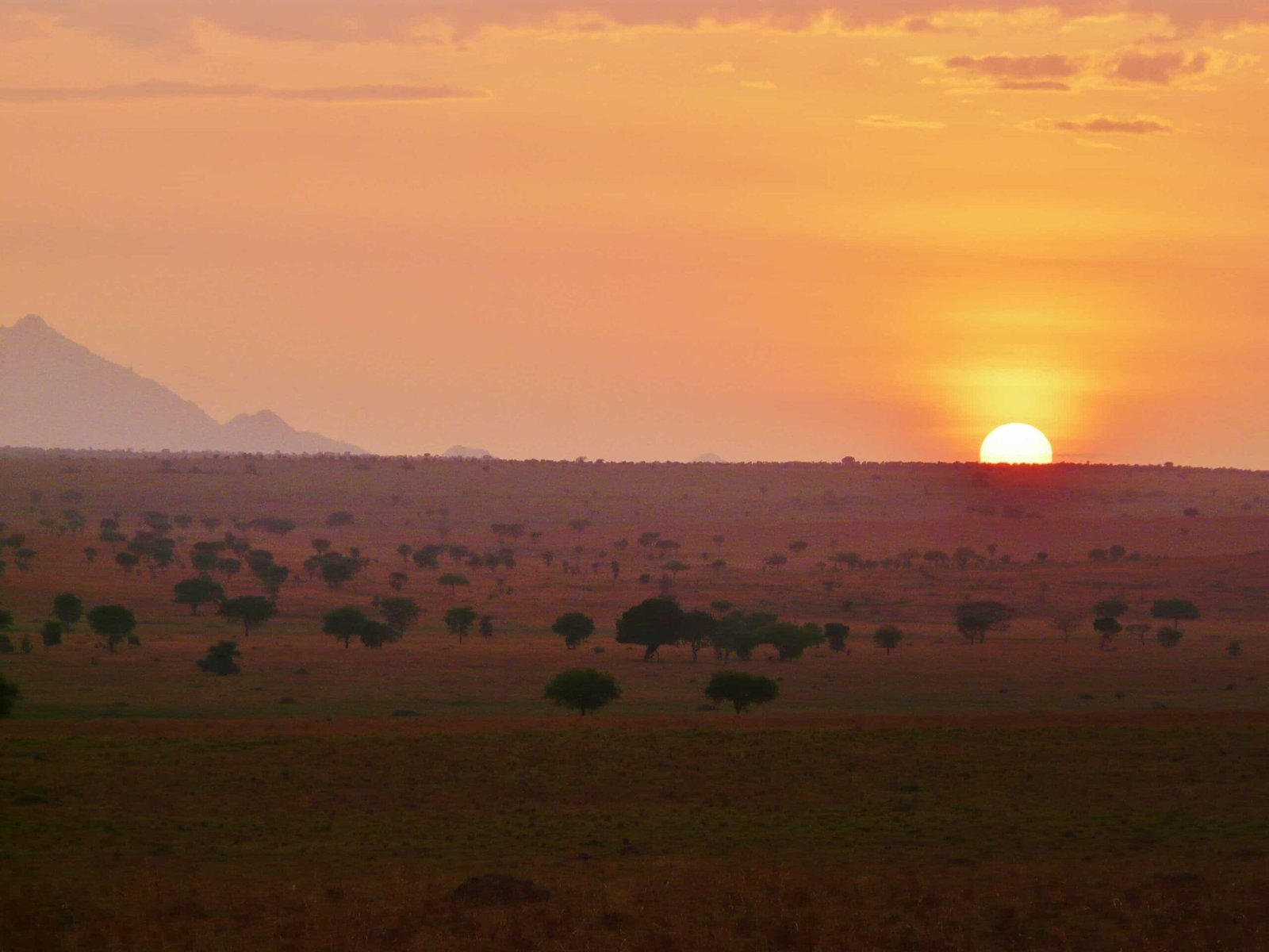 Kidepo Valley National Park Guide