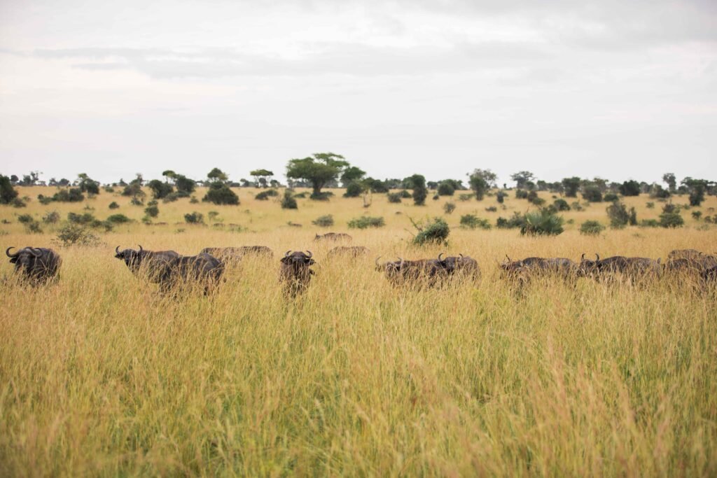 off the beaten path East Africa