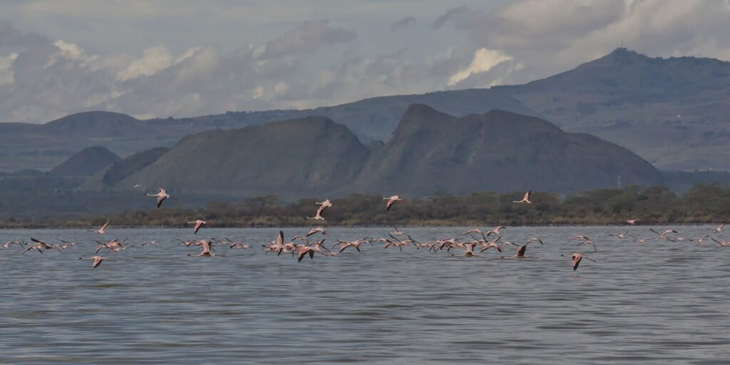 off the beaten path East Africa